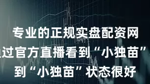专业的正规实盘配资网站此前通过官方直播看到“小独苗”状态很好